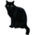 Logo of BlackCatSticker android Application 